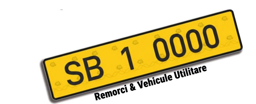 Plăcuțele de înregistrare - dialog cu Erwin Scholther